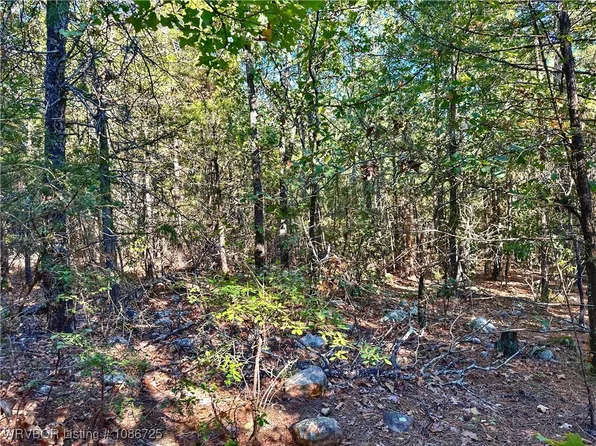 26700 Muse Rd, Muse, OK 74949