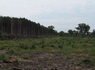 Crystal Lake Rd, Holton, MI 49425