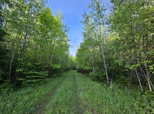 Schramm Rd, Indian River, MI 49749