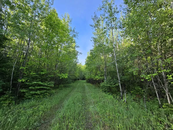 Schramm Rd, Indian River, MI 49749