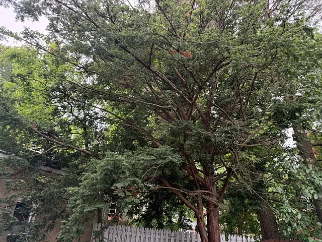 33 Duer Pl #1 — Photo 22