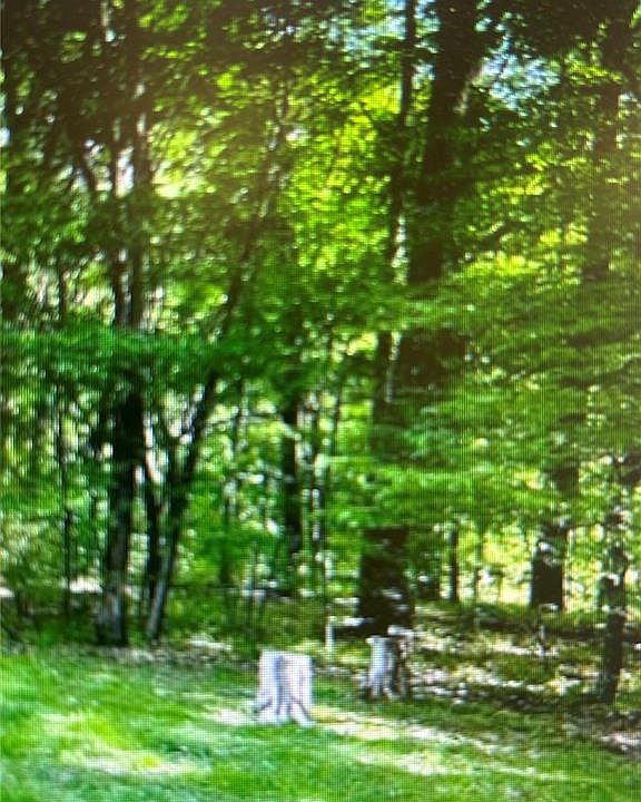 1st image of 0 Sunnywood Dr