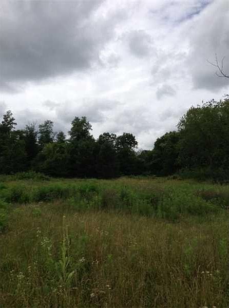2nd image of 446 Brewster Rd