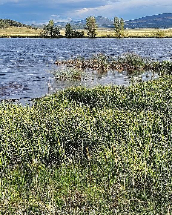 Private fishing pond