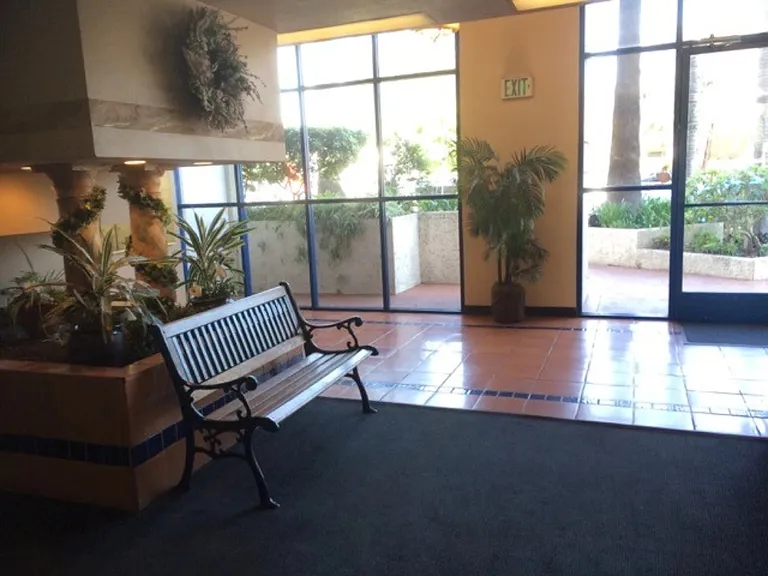 Palm Terrace — Photo 8