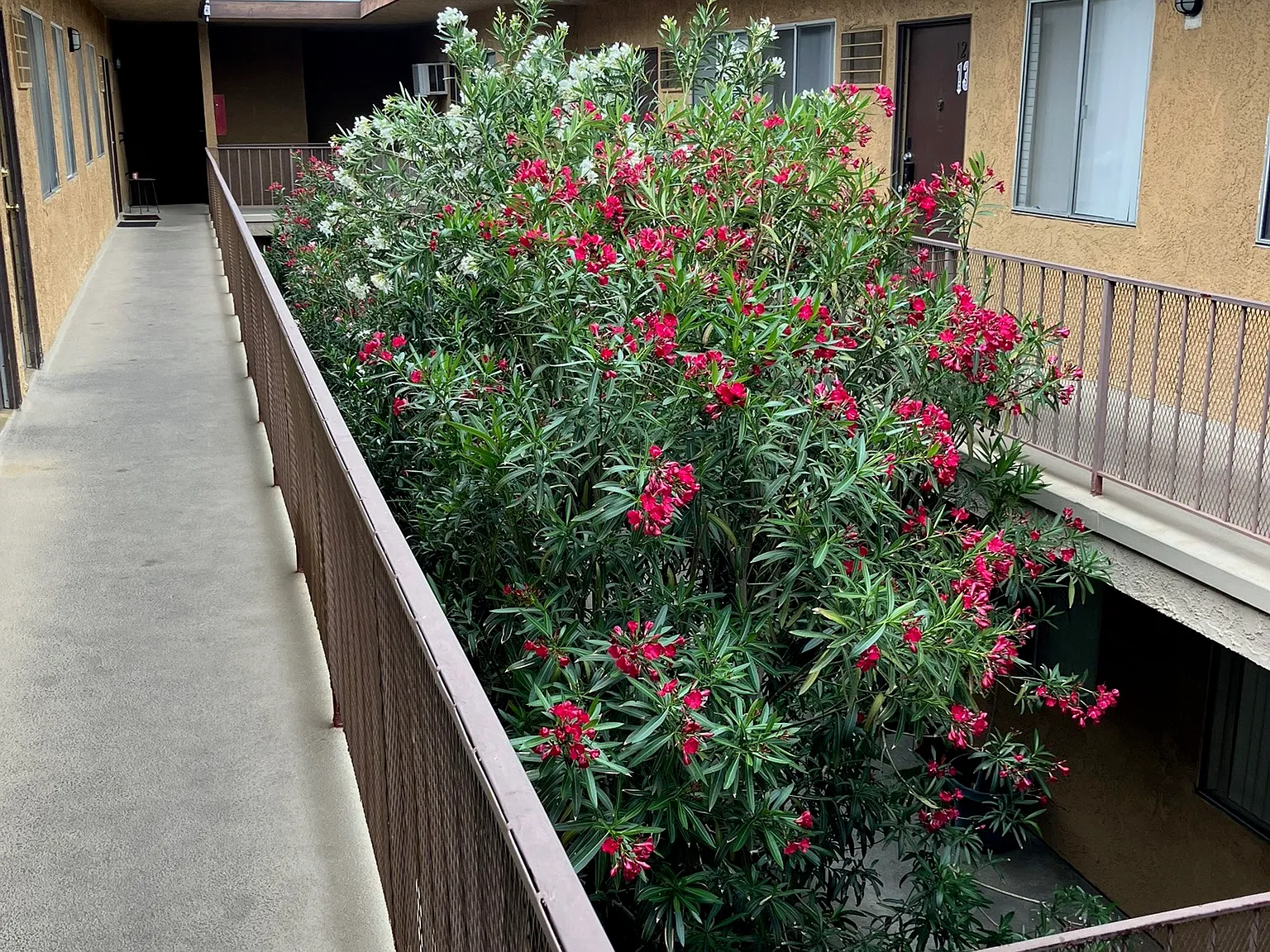 1 bed, $1,595 — Photo 2