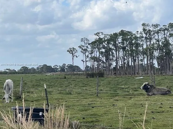 140 Angus Rd, Venus, FL 33960