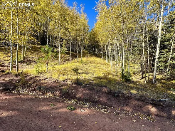 1386 Monarch Dr, Cripple Creek, CO 80813