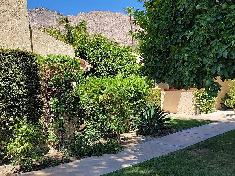 2600 S Palm Canyon Dr #20 — Photo 5