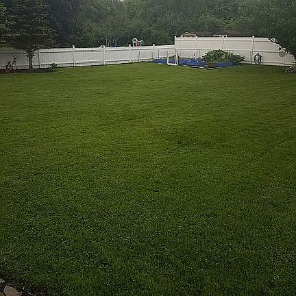 Diagonal view of back yard