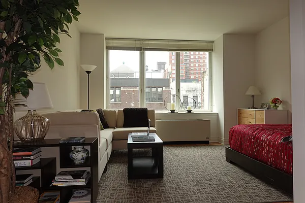 Rented by Carnegie Hill Place | media 20