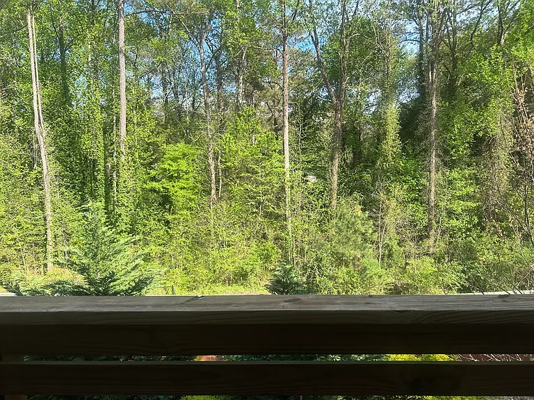 View from the back deck