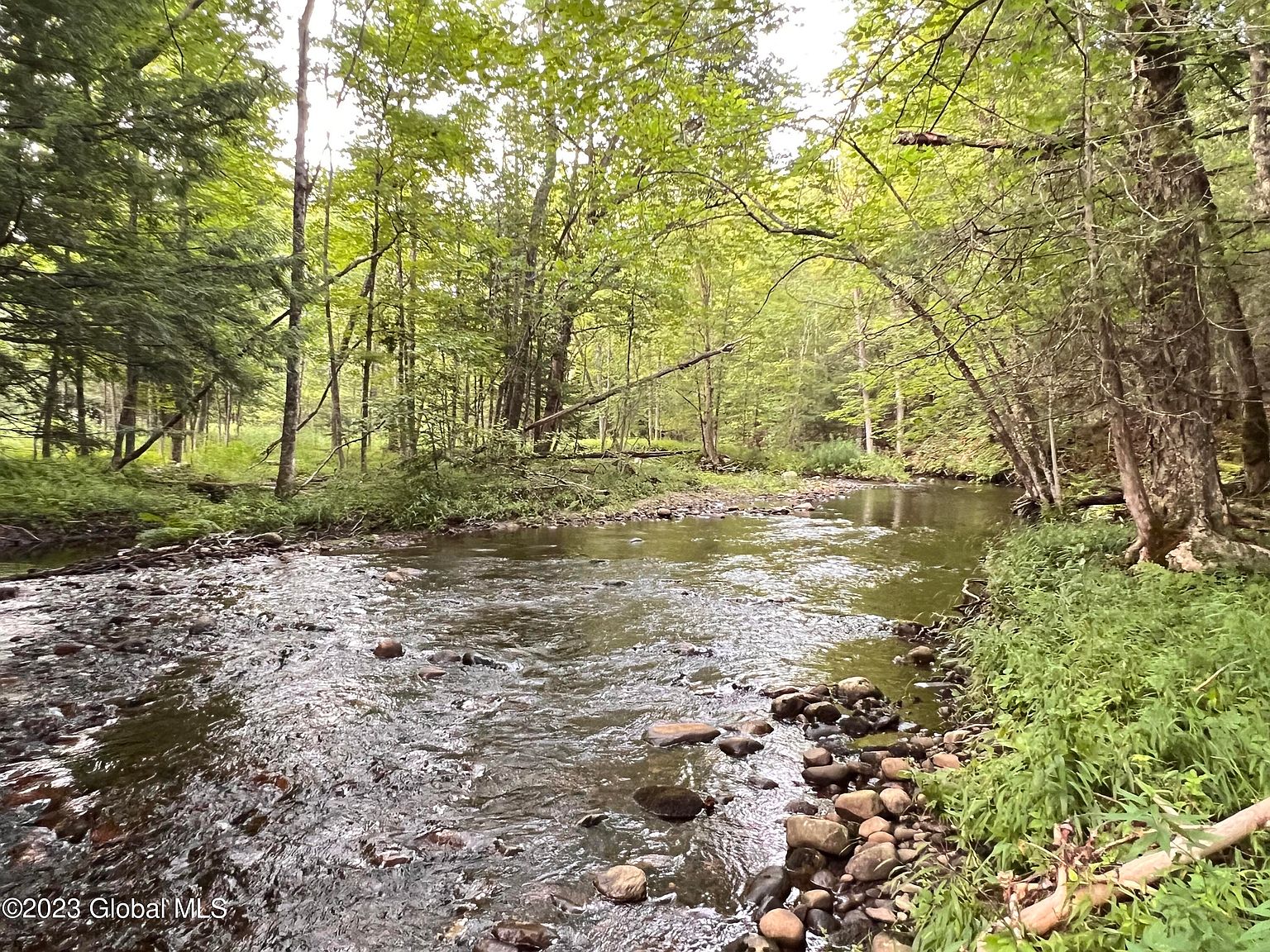 L14.100 Cheney Pond, Olmstedville, NY 12857 MLS 202323886 Zillow