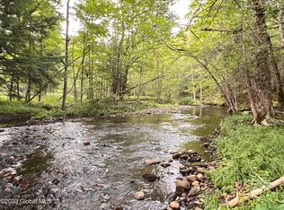 L14100 Cheney Pond Rd, Olmstedville, NY 12857