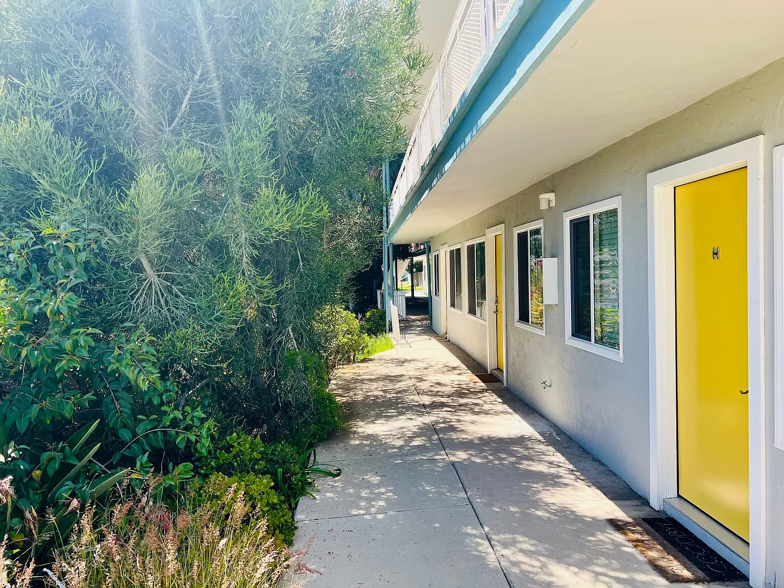 1 bed, 550 sqft, $1,895 — Photo 3