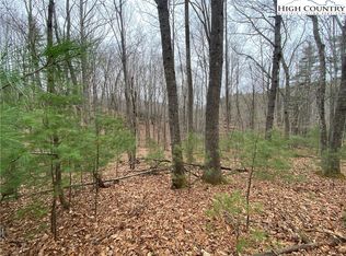 3 Sonterra Dr, Lansing, NC 28643