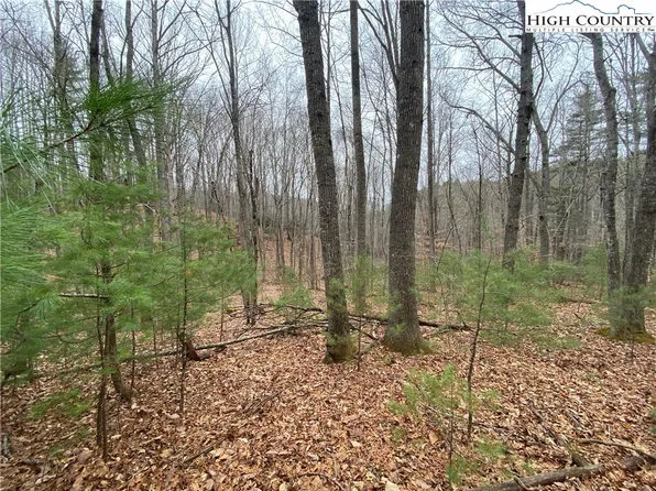 Lot 3 Sonterra Drive, Lansing, NC 28643