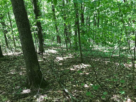 2nd image of 50 Birch Hill Run