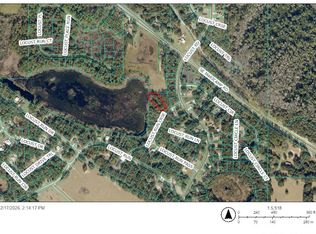Locust Run LOT 10, Ocklawaha, FL 32179