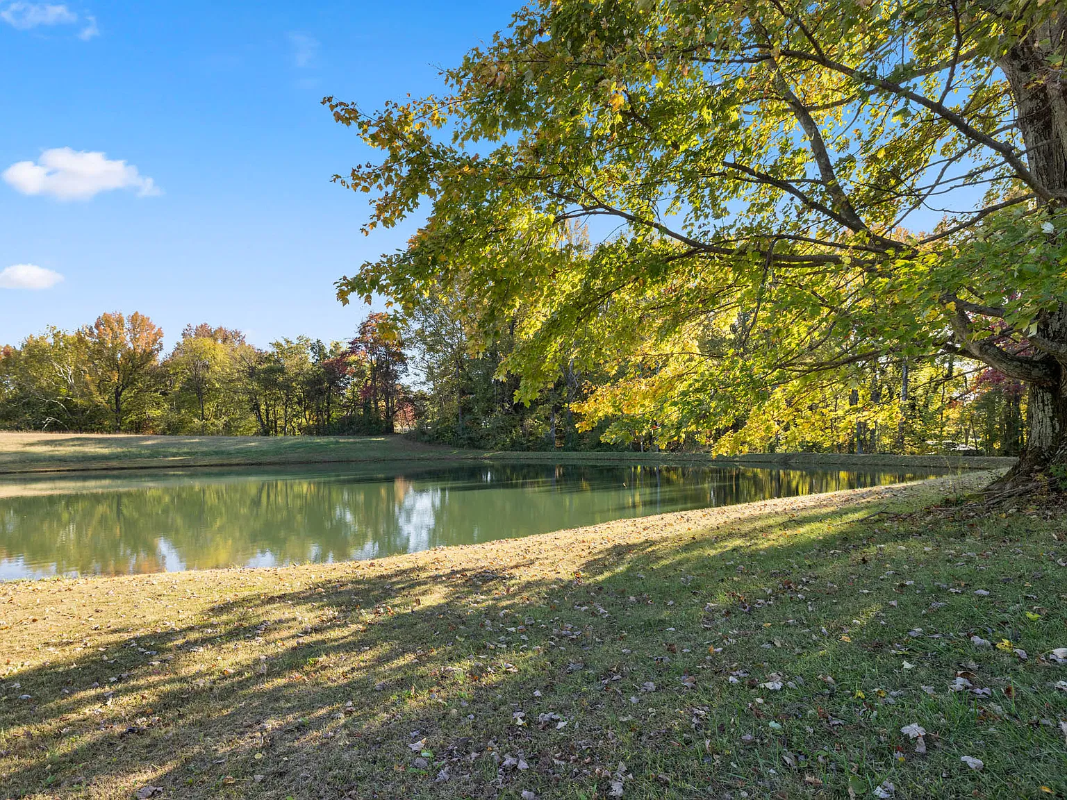 3 bed, 2000 sqft, $2,800 — Photo 3
