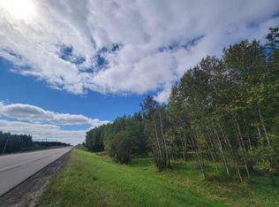 PARCEL State Highway 371 SW #C, Backus, MN 56435