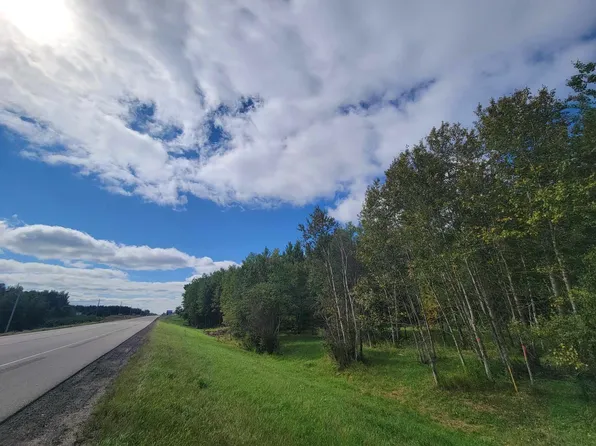 PARCEL State Highway 371 SW #C, Backus, MN 56435