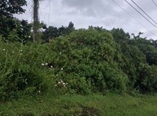 19th Ave LOT 1454, Keaau, HI 96749