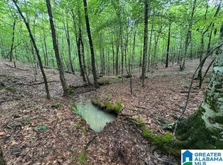 County Road 79, Daviston, AL 36256