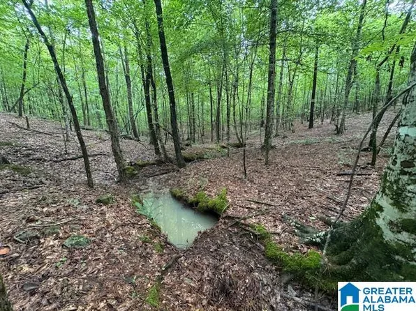 County Road 79, Daviston, AL 36256