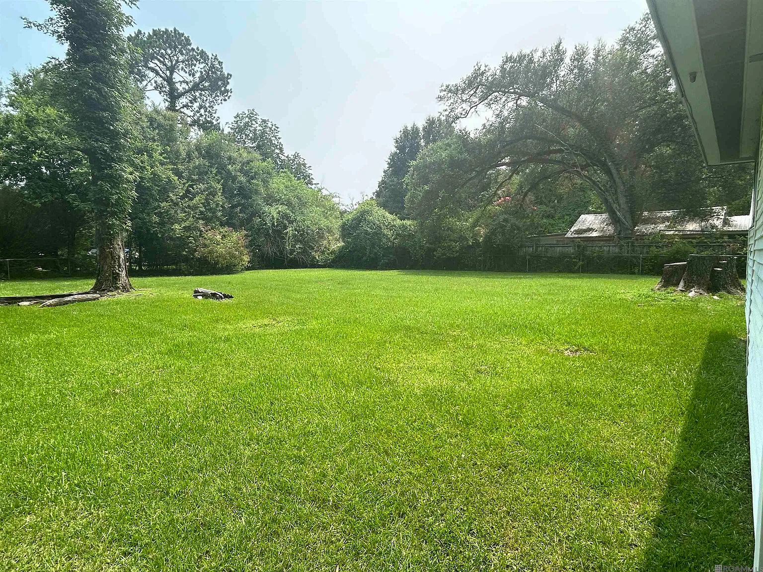3 bed, 1259 sqft, $1,350 — Photo 3