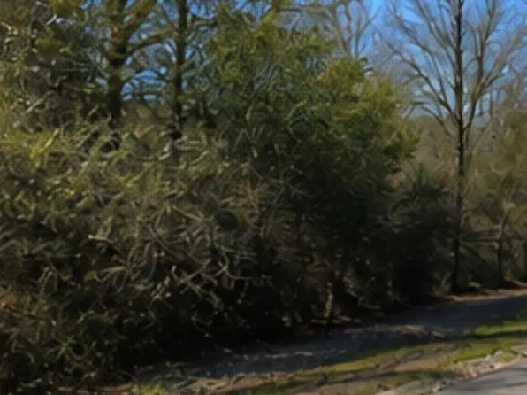 0 Hilltop Rd, East Bernard, TX 77435