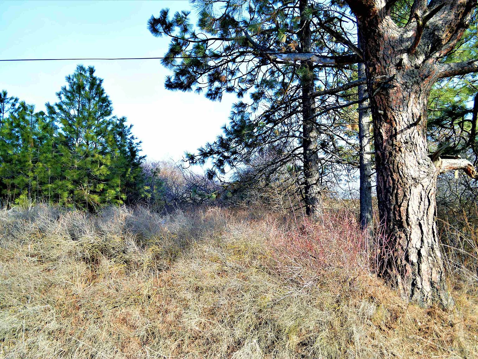 0 N Cheney St LOT A, Cheney, WA 99004 MLS 202411038 Zillow