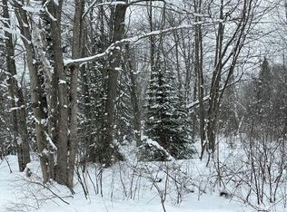 0 S West Birch Point Loop, Brimley, MI 49715