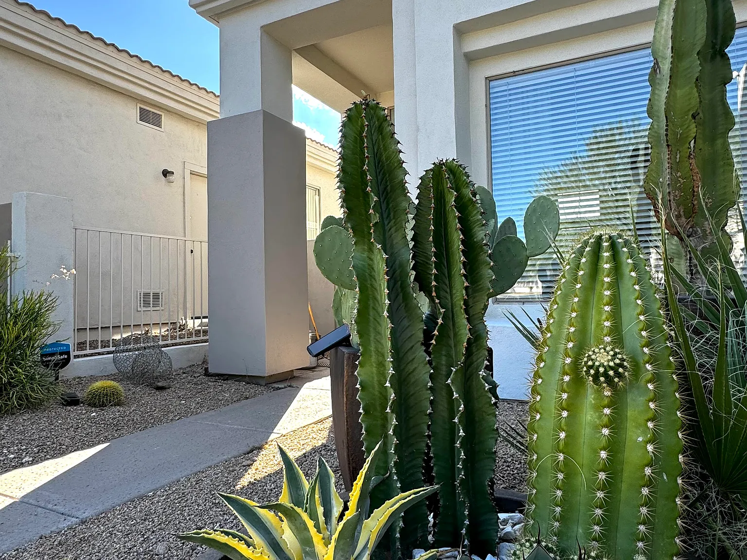 4 bed, 2697 sqft, $12,800 — Photo 3