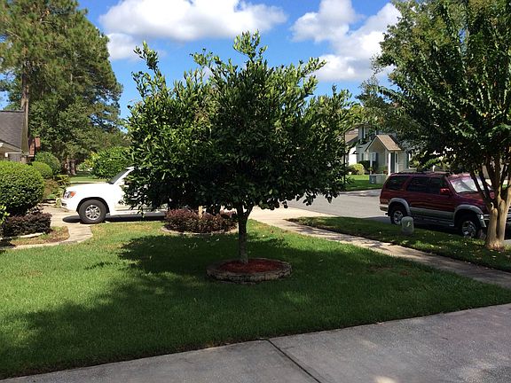 4th image of 10320 Marble Egret Dr
