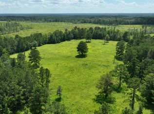 0 S Shackleville Rd, Georgiana, AL 36033