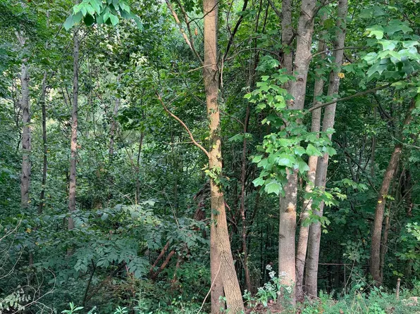 1581 Lookout Mountain Dr, Scottsboro, AL 35769