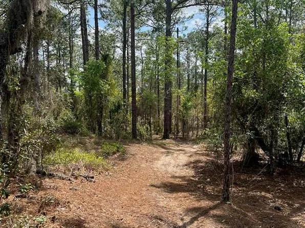 SE 10th St, Williston, FL 32696