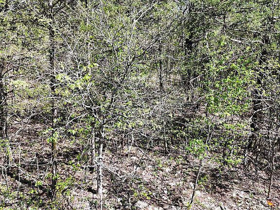 2nd image of Lot #20 Oak Lane