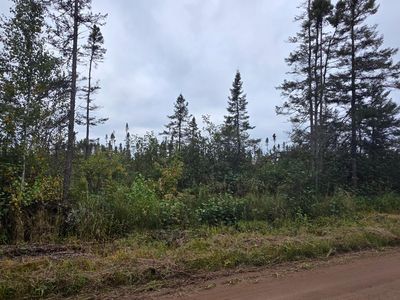 Wilson School Rd, Tomahawk, WI, 54487