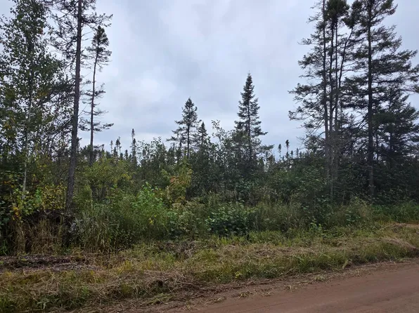 Wilson School Rd, Tomahawk, WI 54487