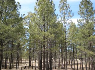 1632 Pine Canyon Dr, Happy Jack, AZ 86024