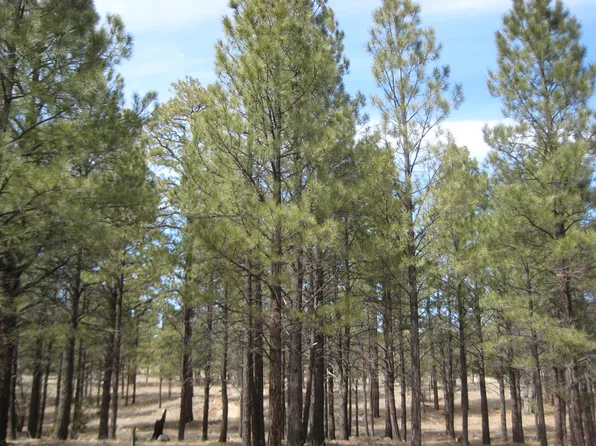 1632 Pine Canyon Dr, Happy Jack, AZ 86024