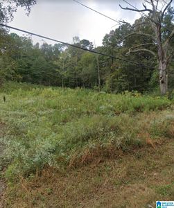 367 Village Springs Rd #0, Springville, AL, 35146