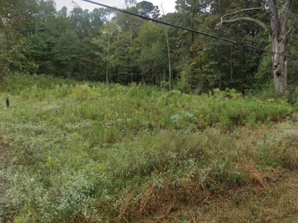 367 Village Springs Rd #0, Springville, AL 35146