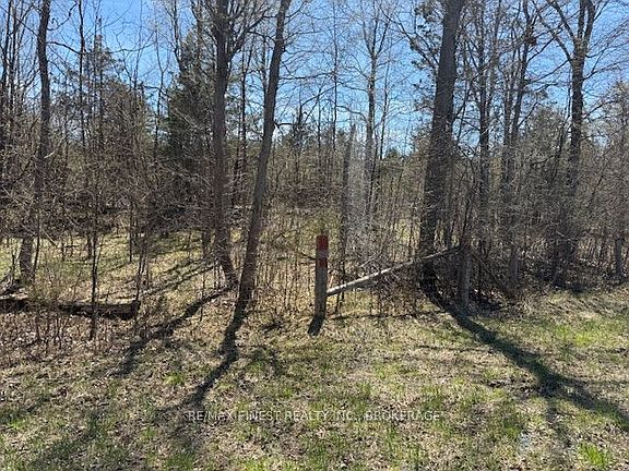 4th image of 590 Love Rd