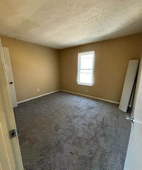 409 Shelby Ave #3 — Photo 4