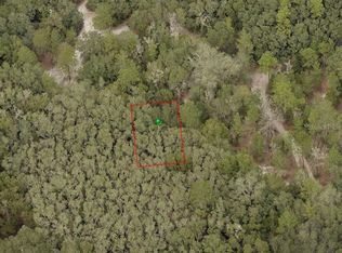 Baltimore Avenue Lot #29, Orange City, FL 32763
