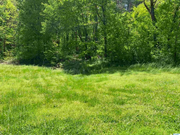 LOT 16 Dogwood Ln NW, Fort Payne, AL 35967