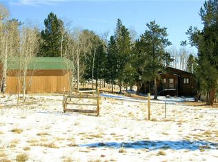 1400 Little Baldy Dr, Fairplay, CO 80440